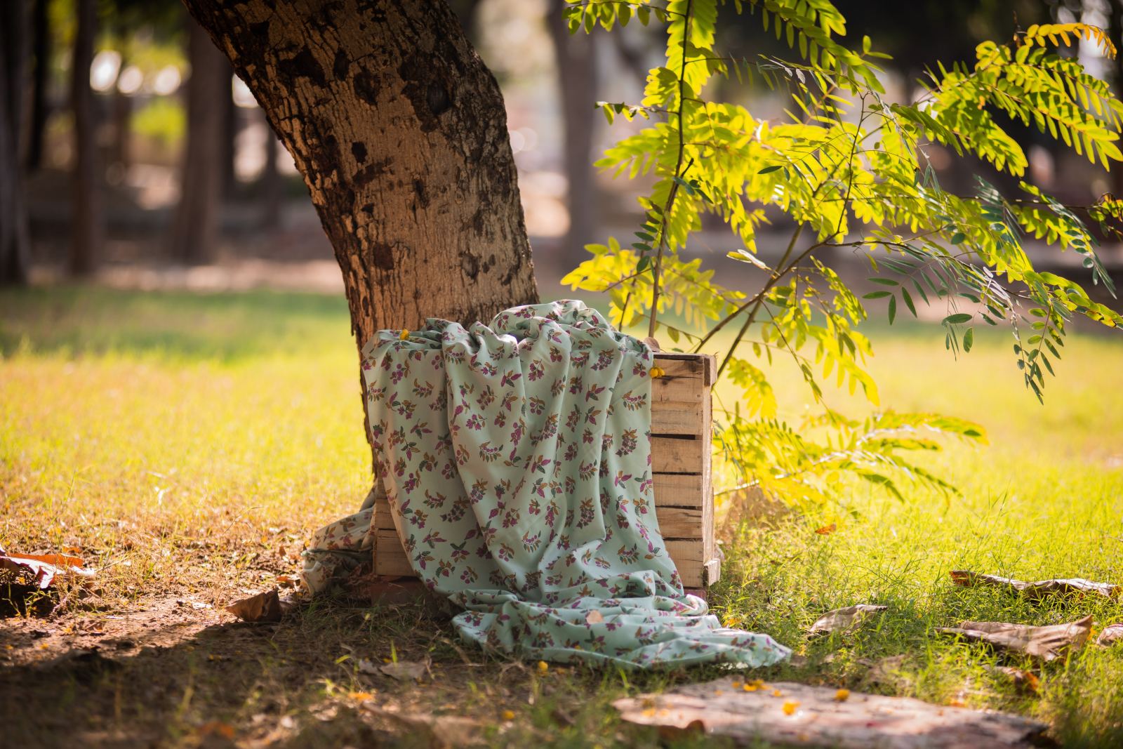 Fabriclore's Exclusive Lizzy Bizzy Cotton Fabrics - Fabriclore