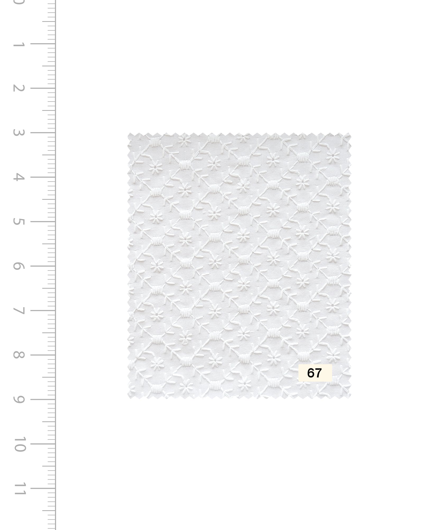 Blended Cotton Schiffli Embroidery Fabric (Bleached)