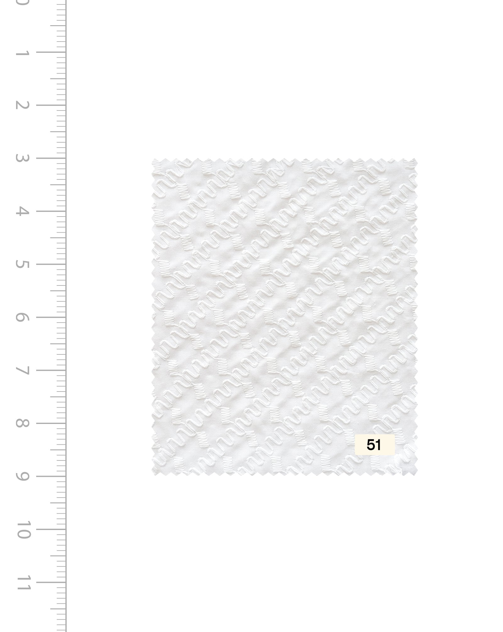 Blended Cotton Schiffli Embroidery Fabric (Bleached)