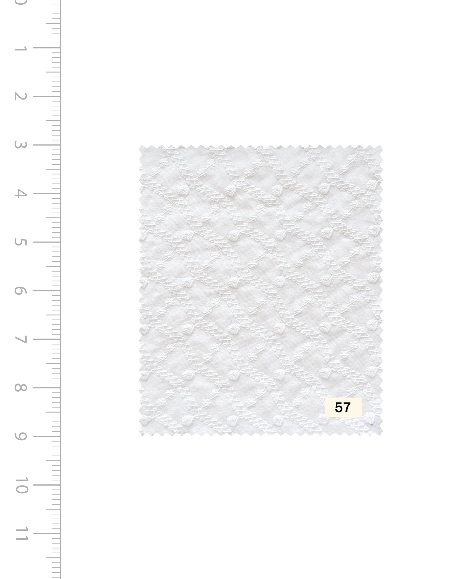 Blended Cotton Schiffli Embroidery Fabric (Bleached)