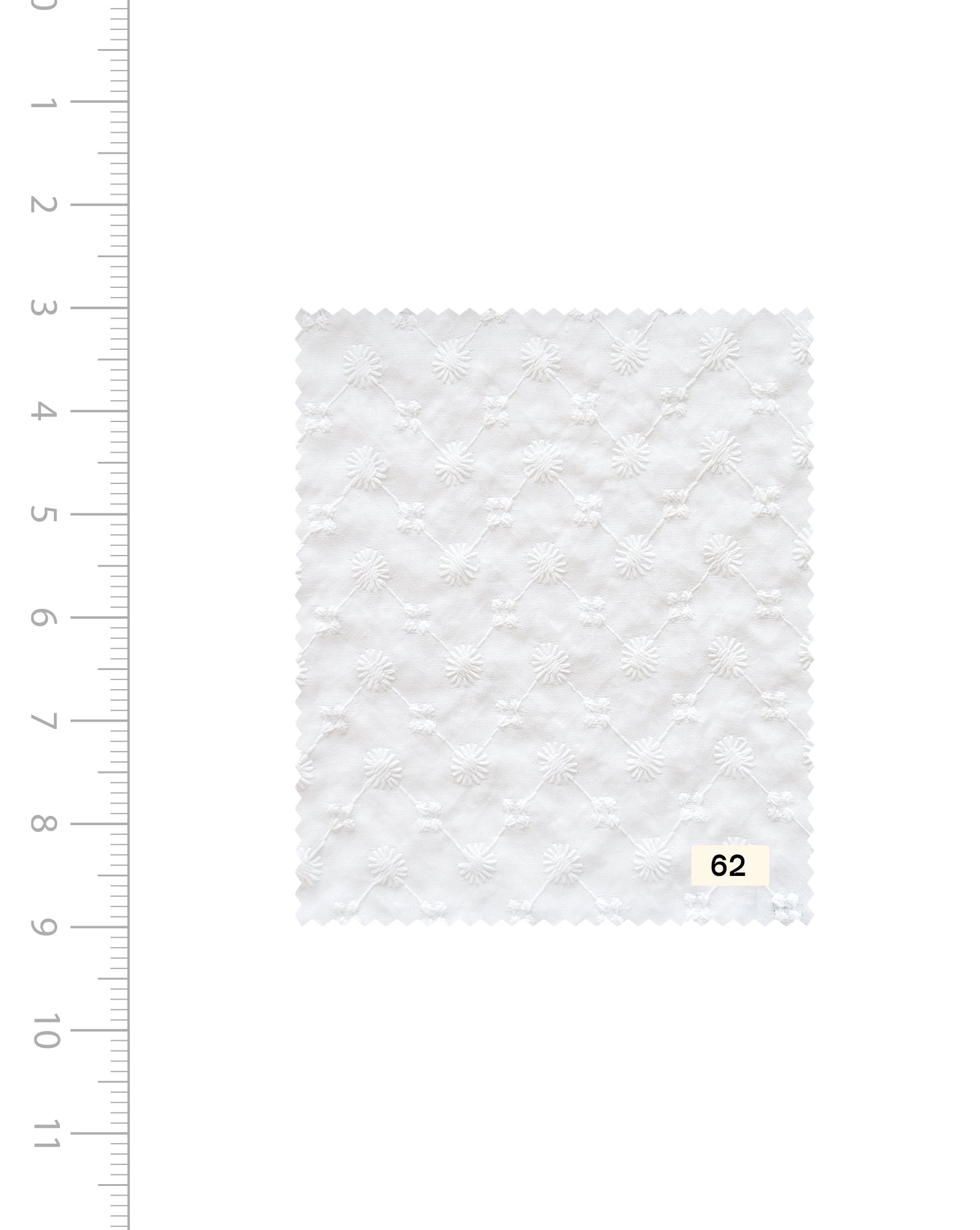 Blended Cotton Schiffli Embroidery Fabric (Bleached)