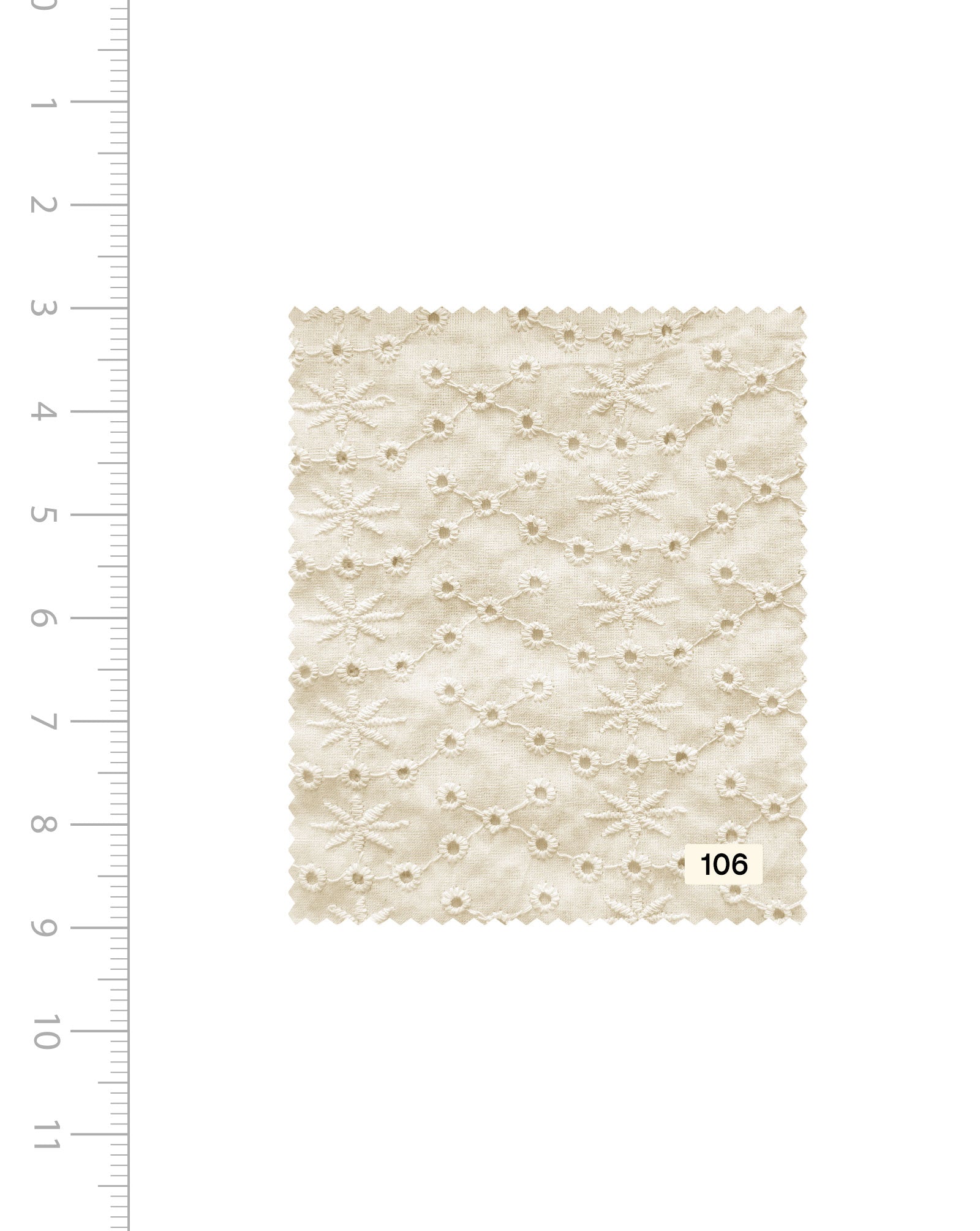 Schiffli Embroidery Cotton Fabric (Greige) - 004 Order Online