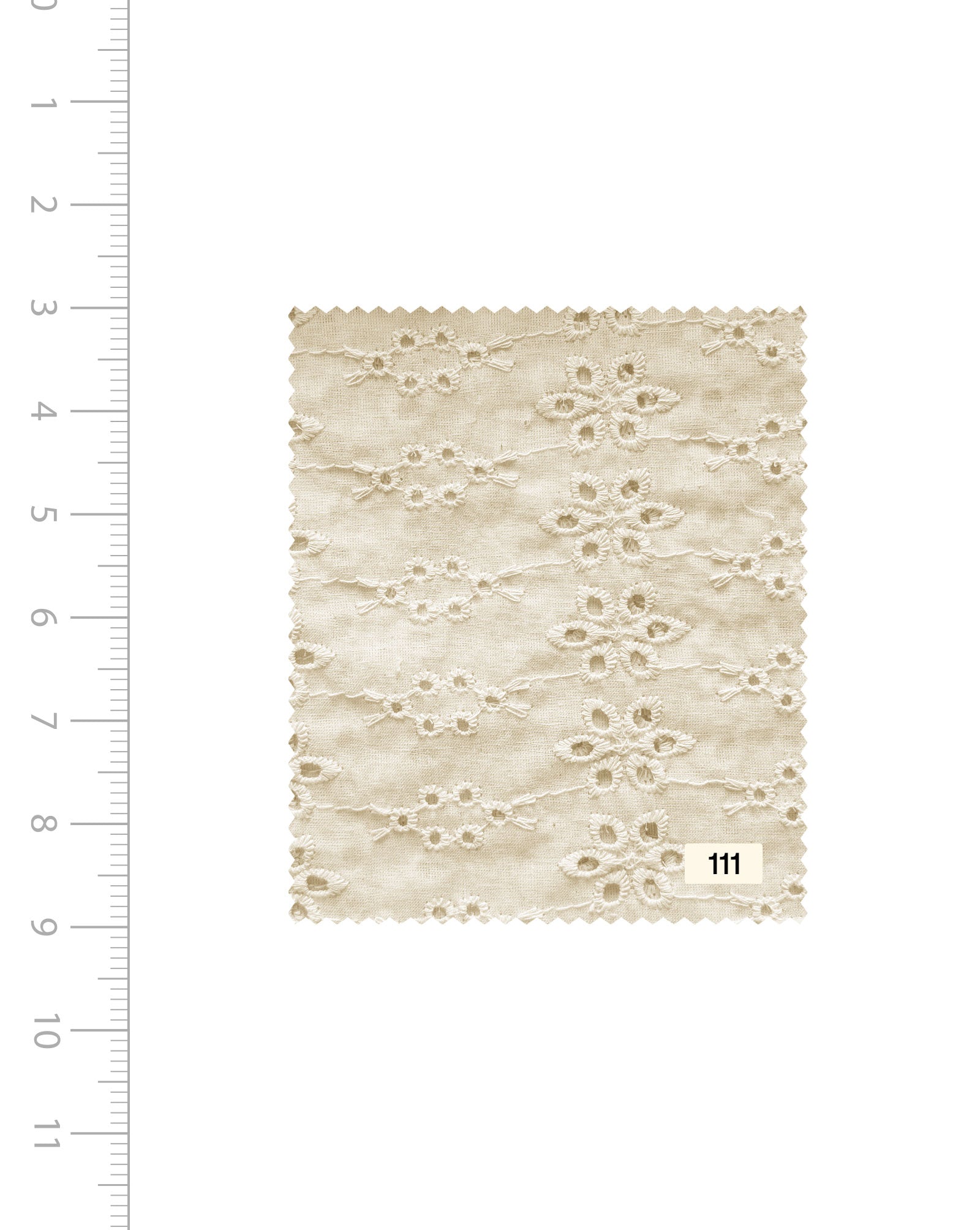 Schiffli Embroidery Cotton Fabric (Greige) - 004 Buy Online