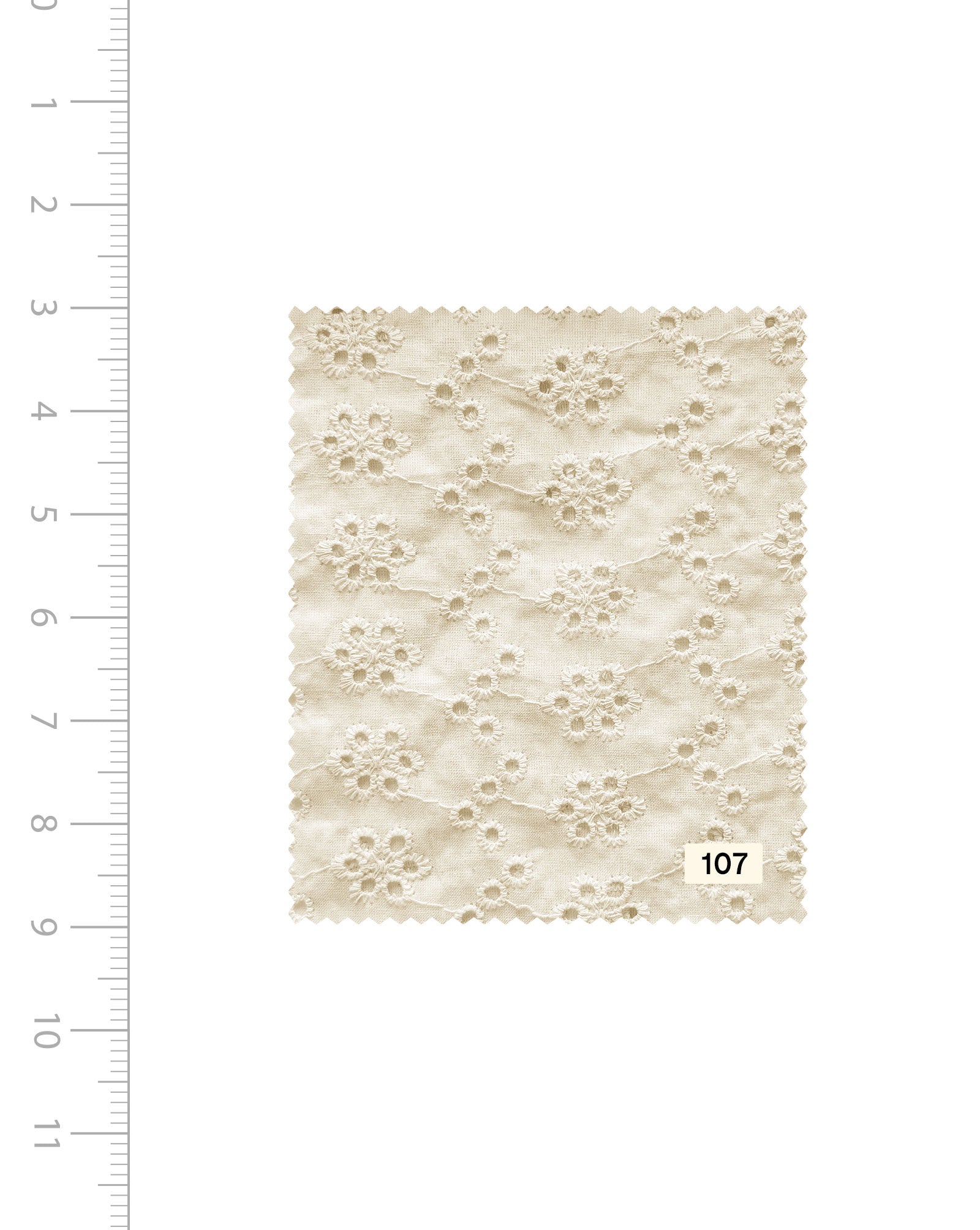 Schiffli Embroidery Cotton Fabric (Greige) - 004 Buy Now