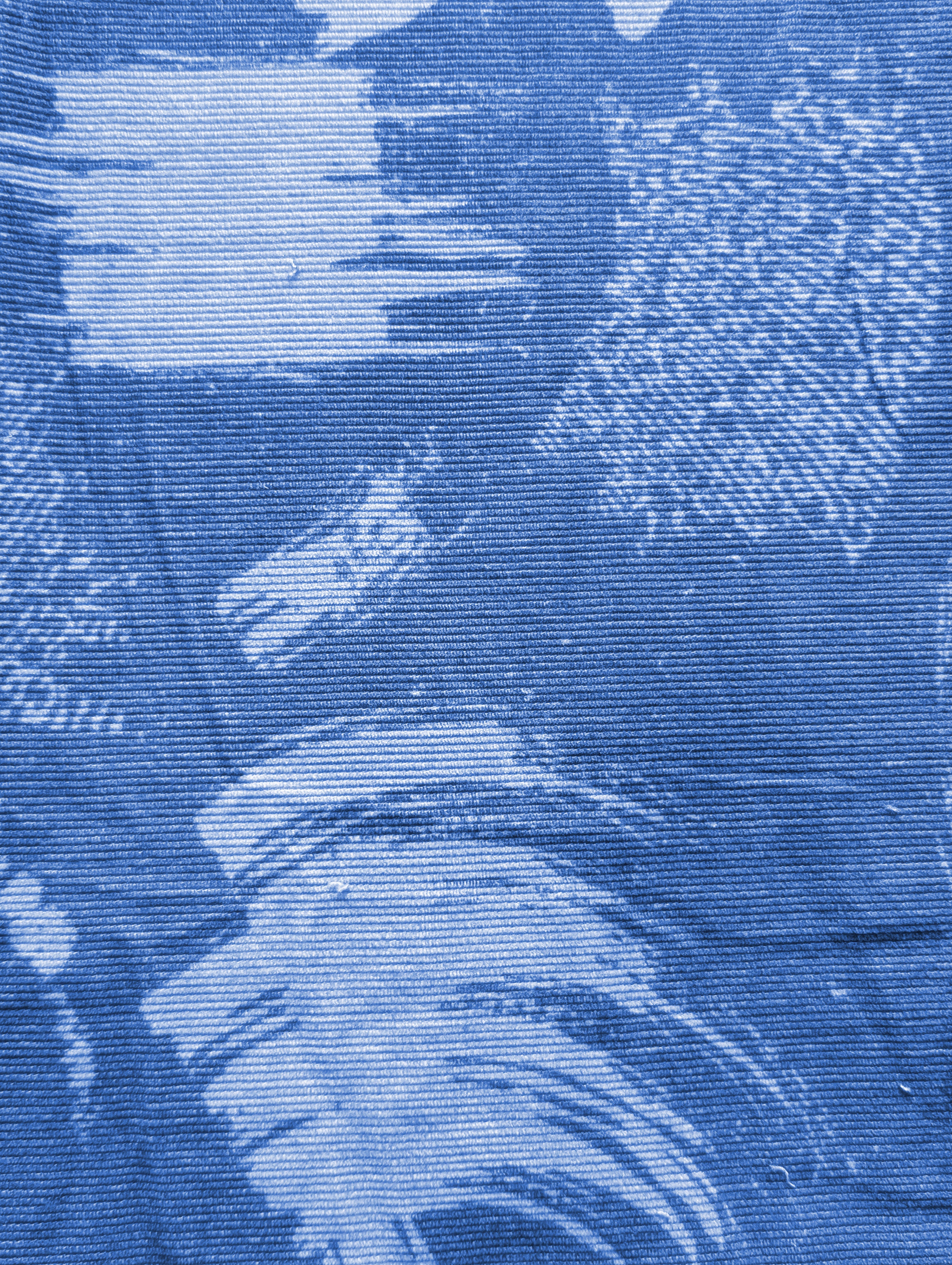 Digital Print Cotton Corduroy Fabric ( 19 Wales)
