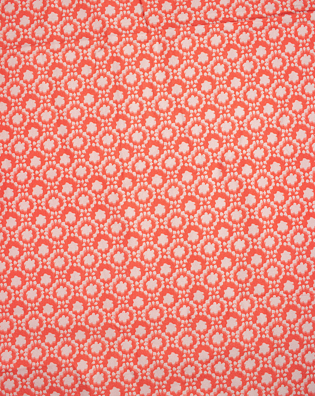 Digital Print Cotton Duck Fabric ( Width 58 Inch )