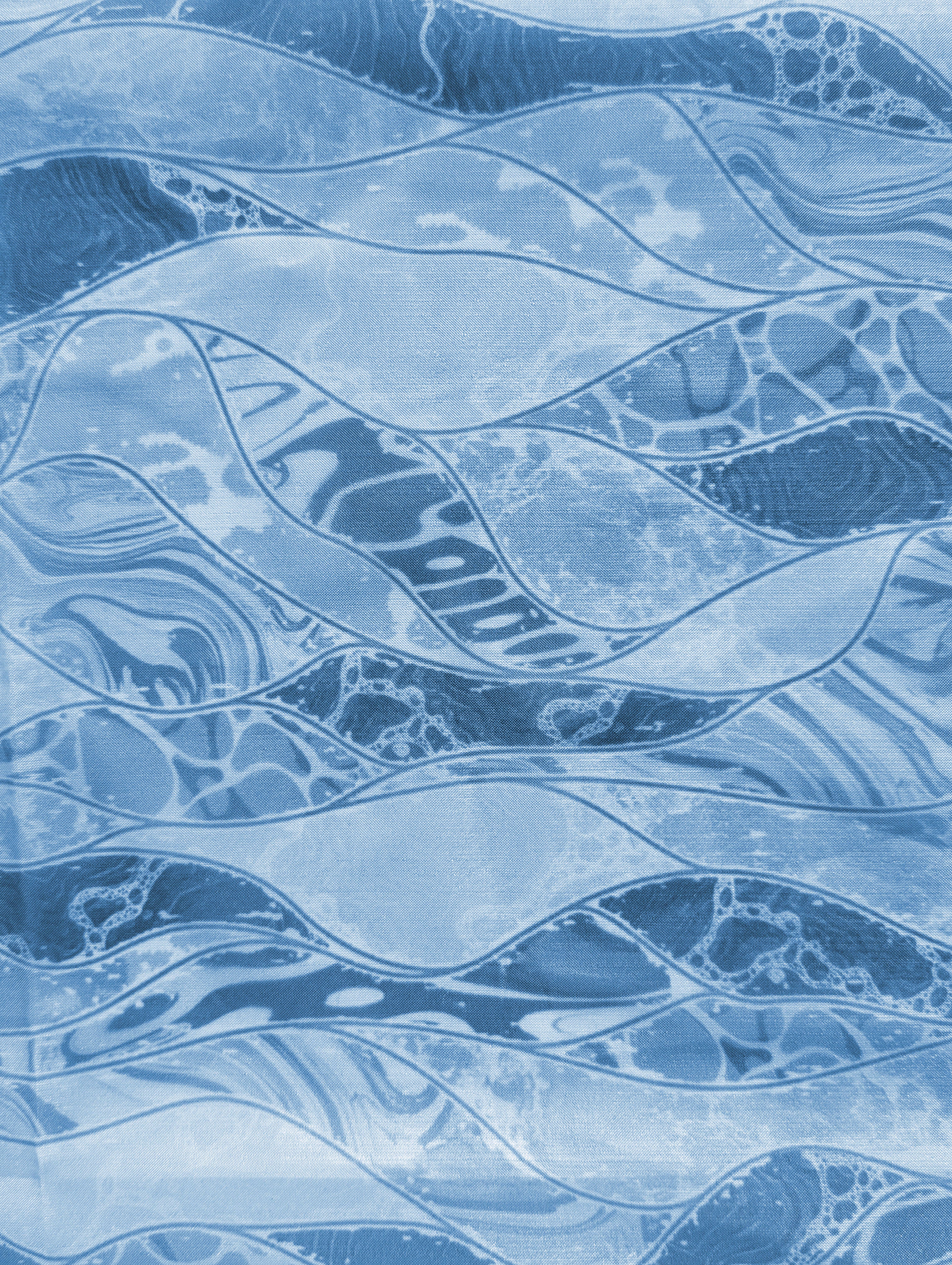 Digital Print Poly Tabby Silk Fabric 56" - 6.5 kg
