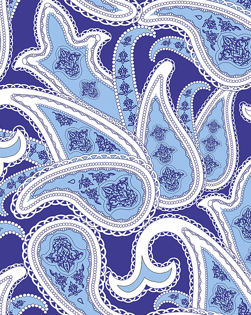 Paisley Digital Print
