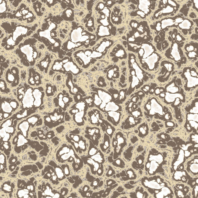 Abstract Digital Print