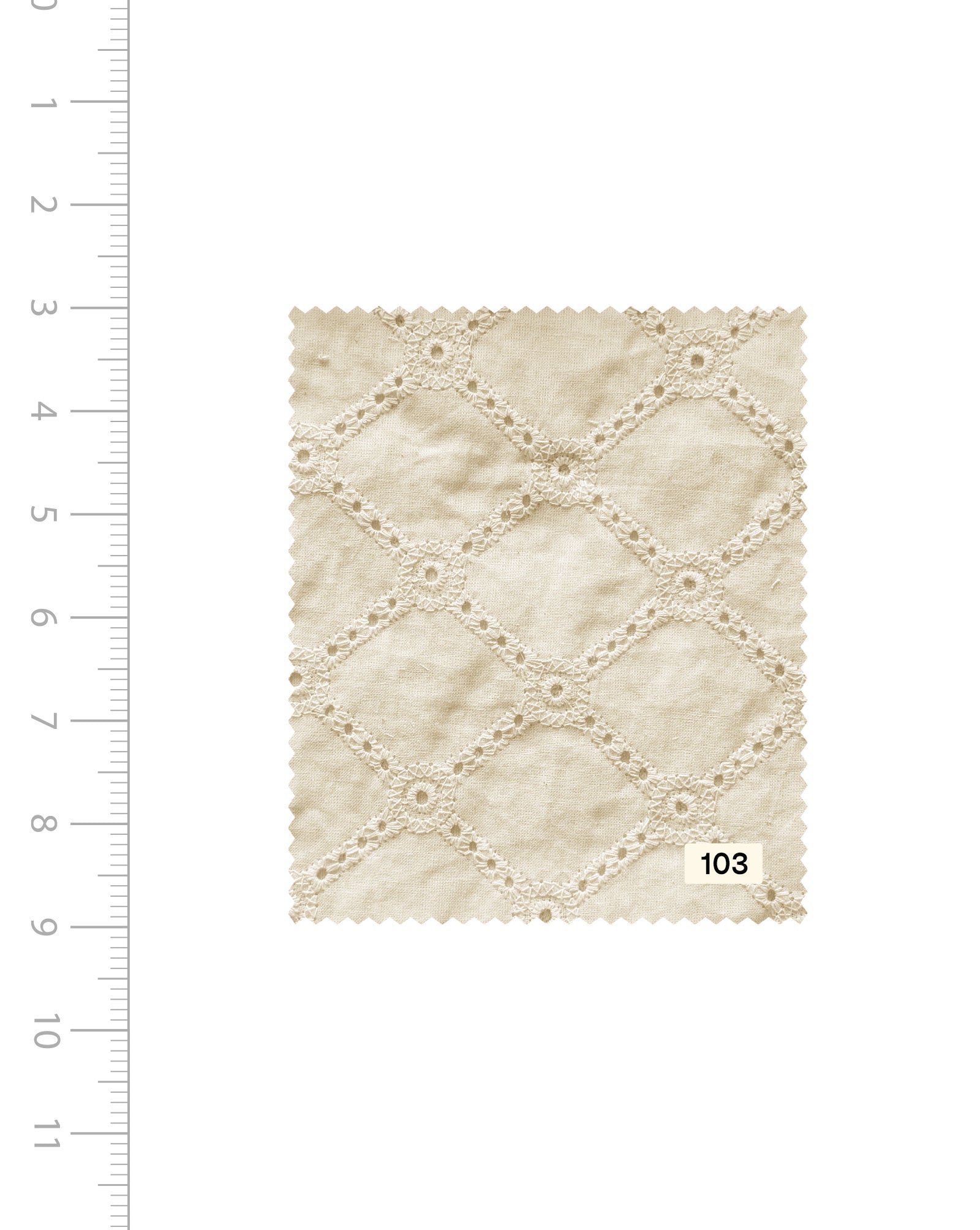 Schiffli Embroidery Cotton Fabric 46" (Greige) - 005 Buy Online