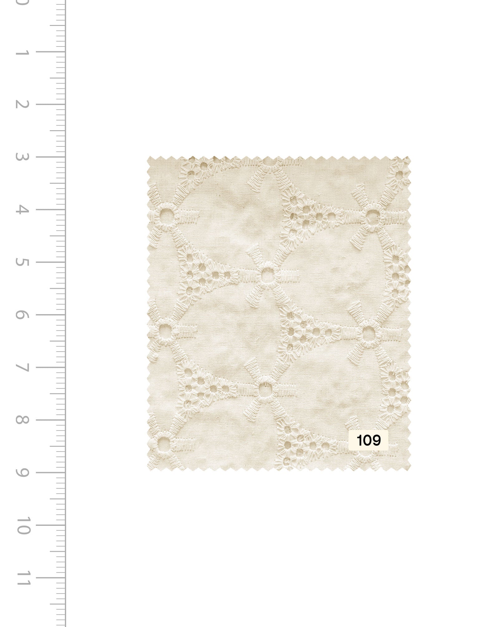 Schiffli Embroidery Cotton Fabric 46" (Greige) - 005 Order Now