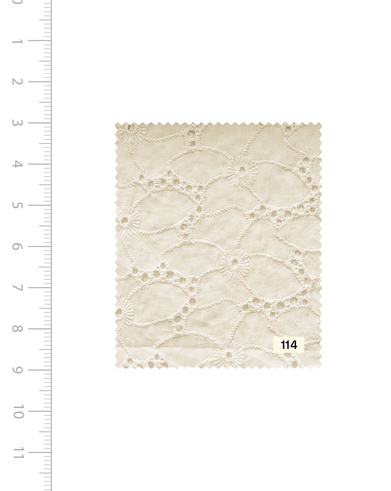 Schiffli Embroidery Cotton Fabric 46" (Greige) - 005 Buy Online