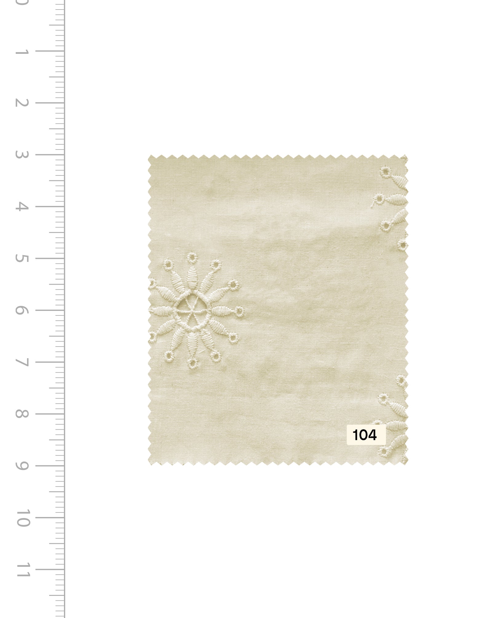 Schiffli Embroidery Cotton Fabric 46 (Greige) - 007 Buy Now