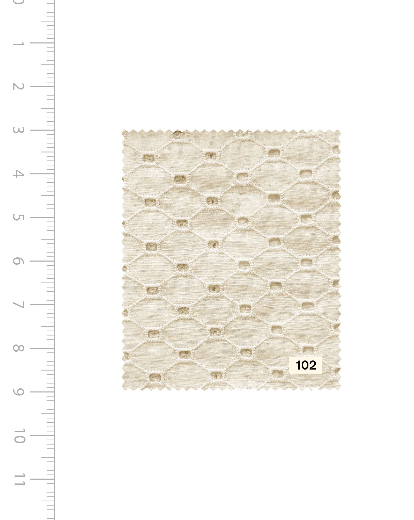 Schiffli Embroidery Cotton Fabric (Greige) - 004 Buy Now