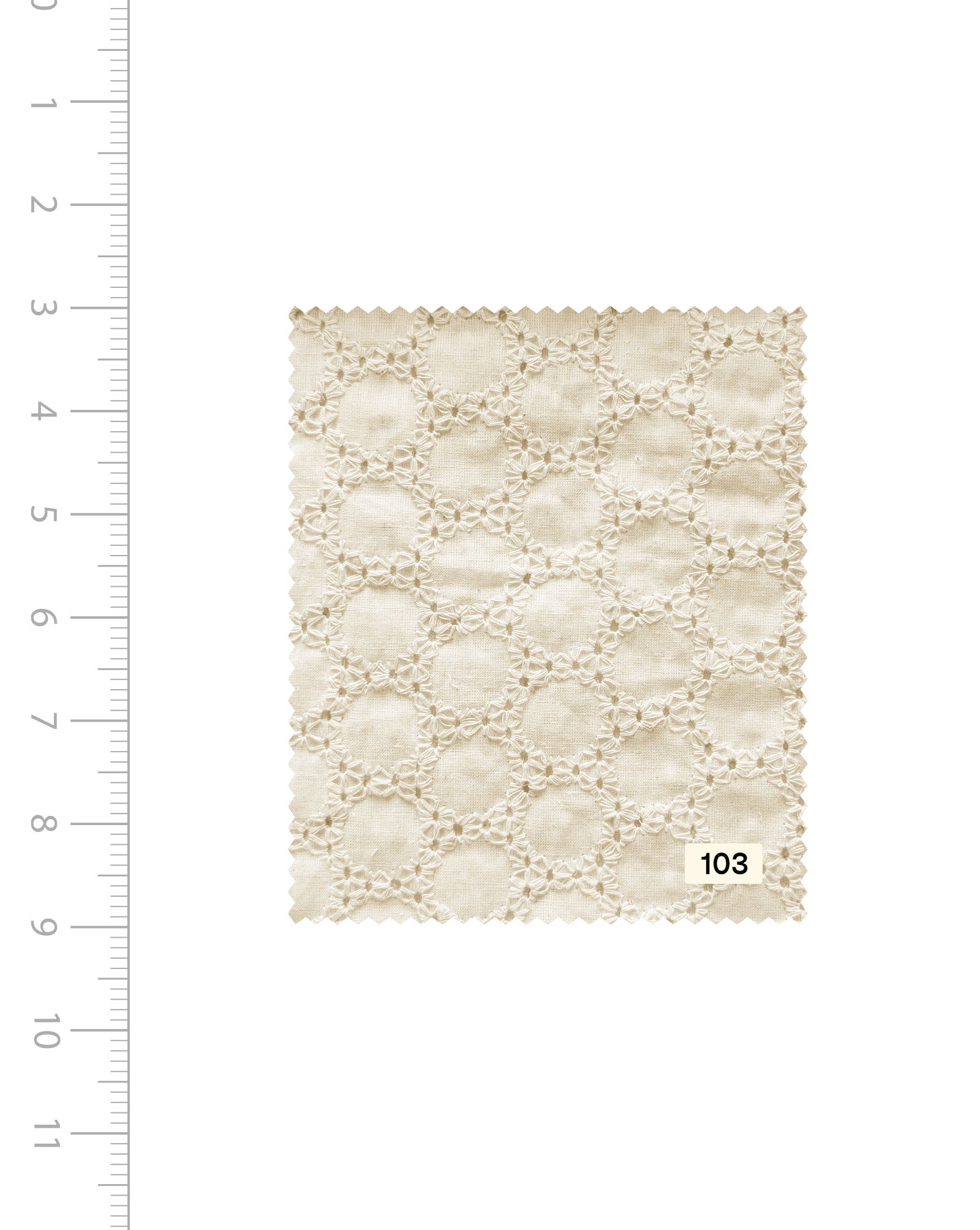 Schiffli Embroidery Cotton Fabric (Greige) - 004 Order Online