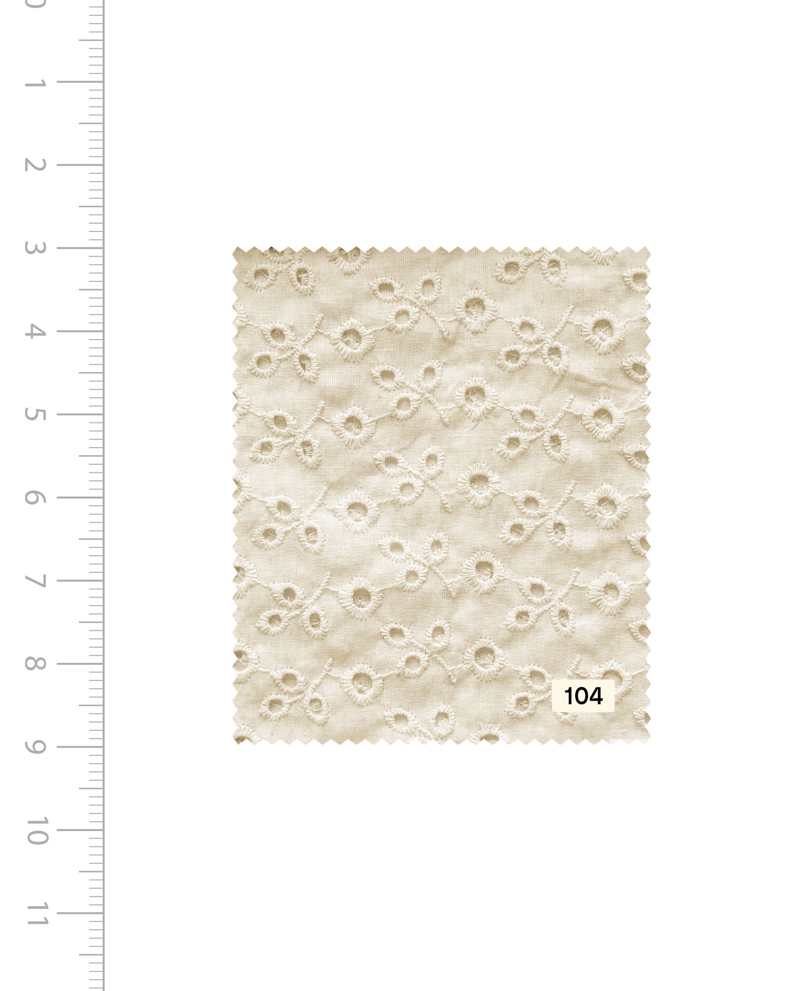 Schiffli Embroidery Cotton Fabric (Greige) - 004 Buy Online