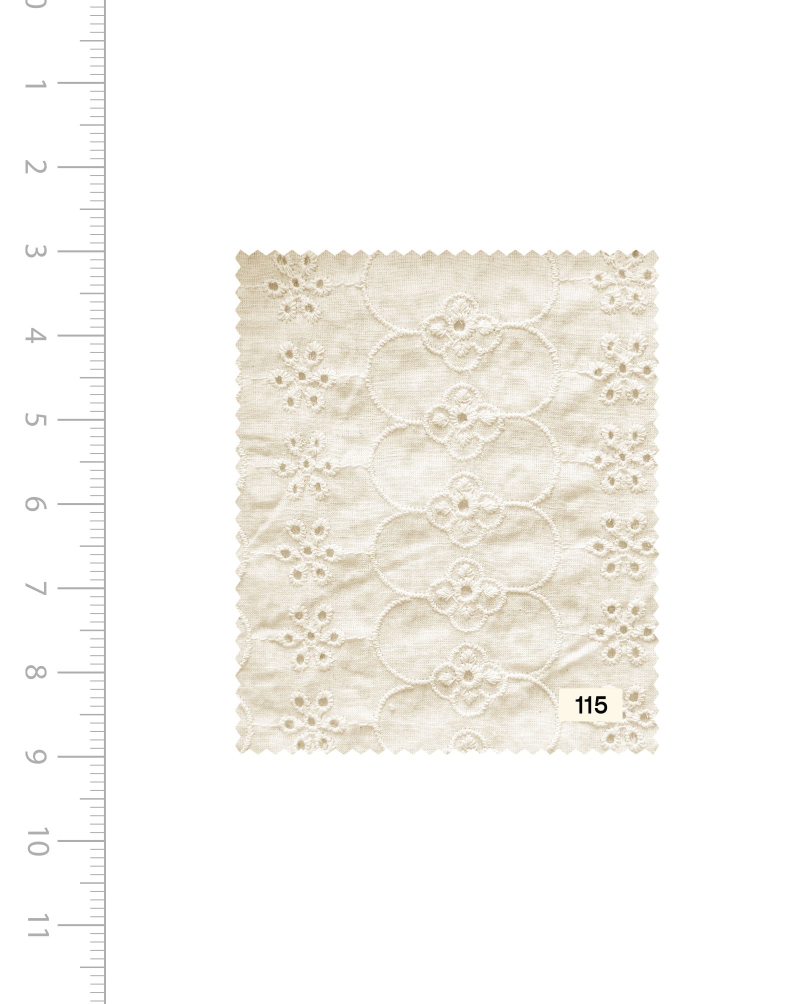 Schiffli Embroidery Cotton Fabric (Greige) - 004 Buy Now