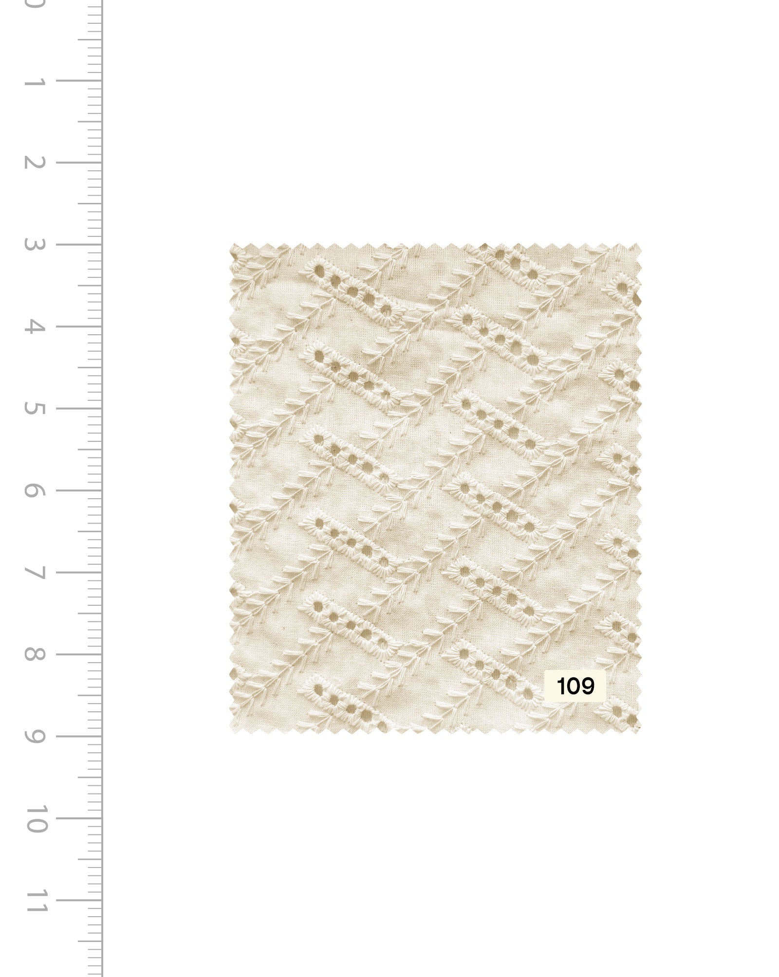 Order Schiffli Embroidery Cotton Fabric (Greige) - 004 Online