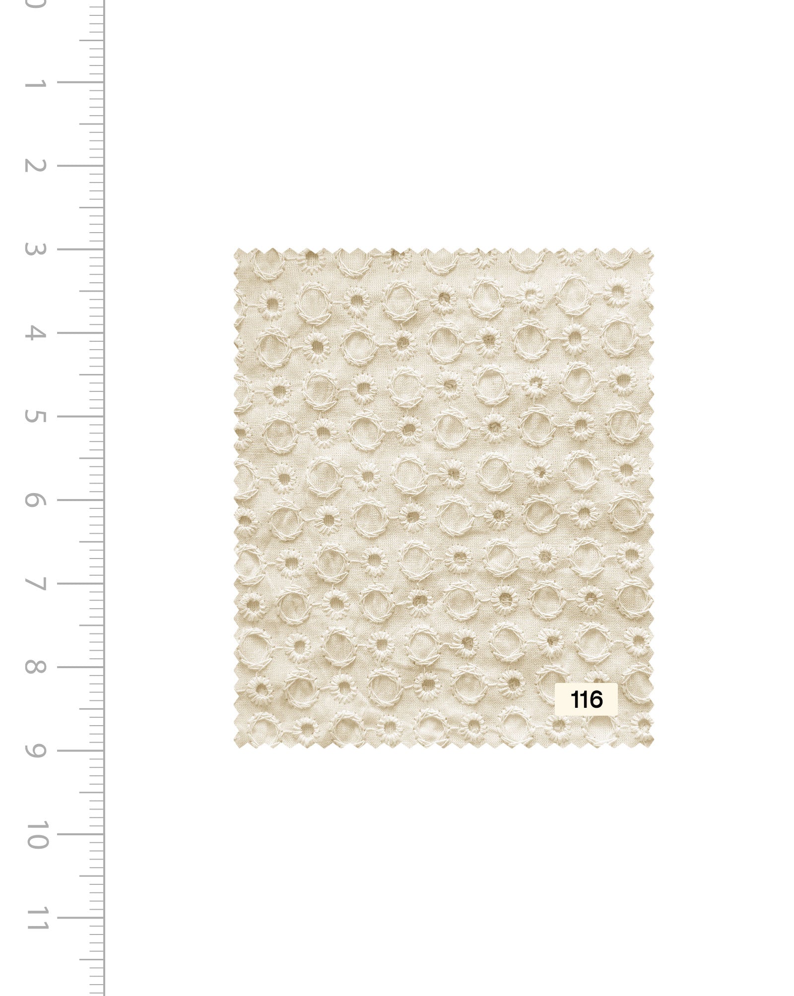 Shop Schiffli Embroidery Cotton Fabric (Greige) - 004 Online