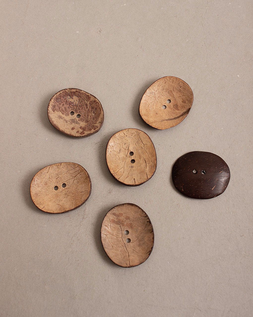 Coconut Button ( Single Piece ) - Fabriclore.com
