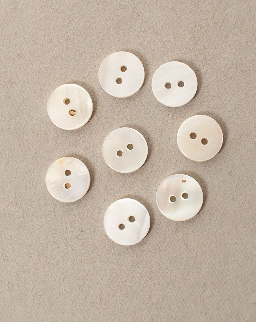 Shell Button ( Set Of 6 ) - Fabriclore.com