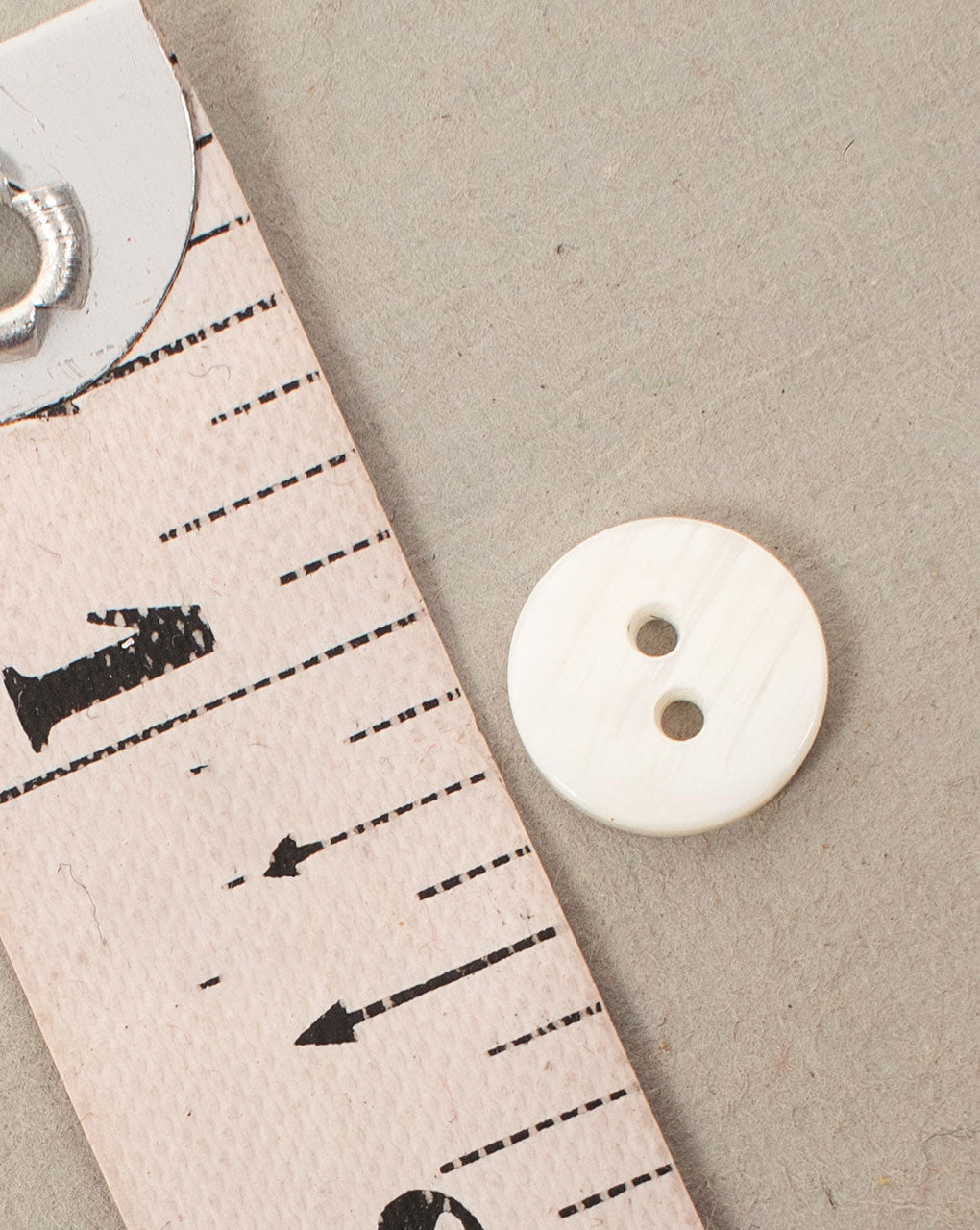Shell Button ( Set Of 6 ) - Fabriclore.com