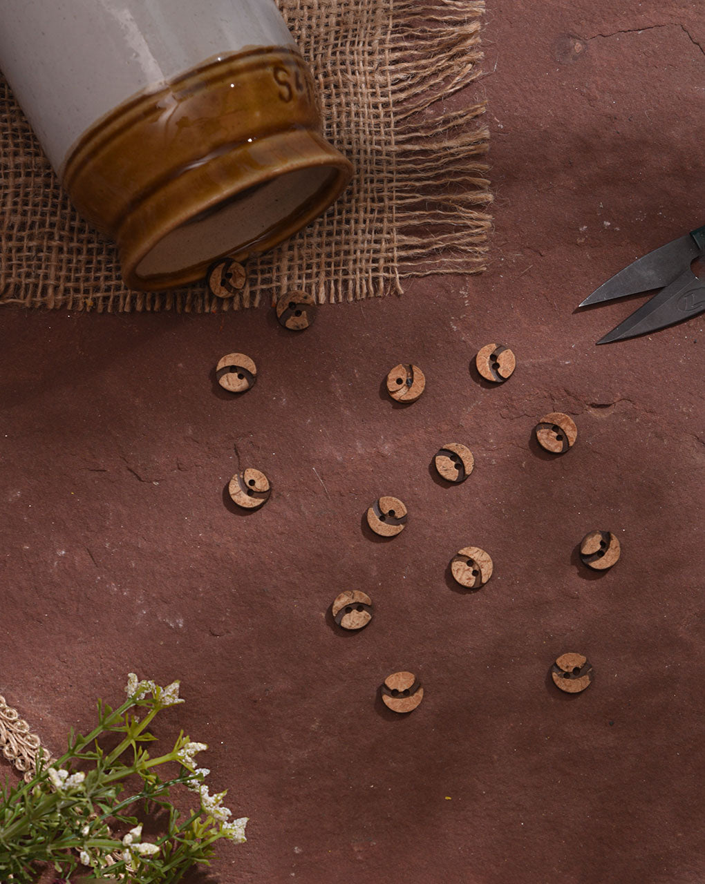 Coconut Button ( Set Of 6 ) - Fabriclore.com