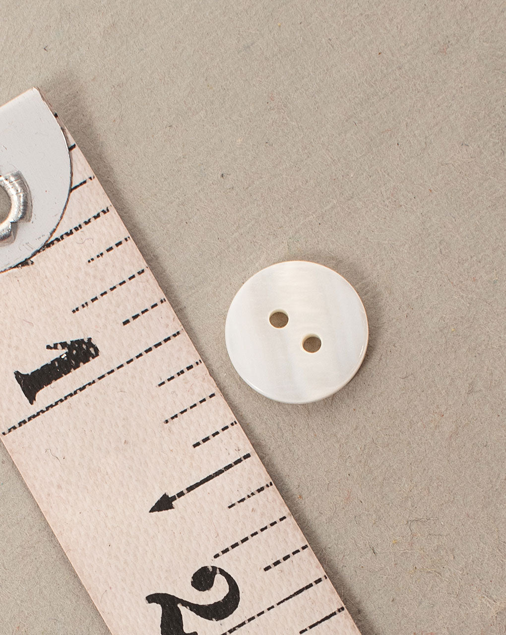 Shell Button ( Set Of 6 ) - Fabriclore.com