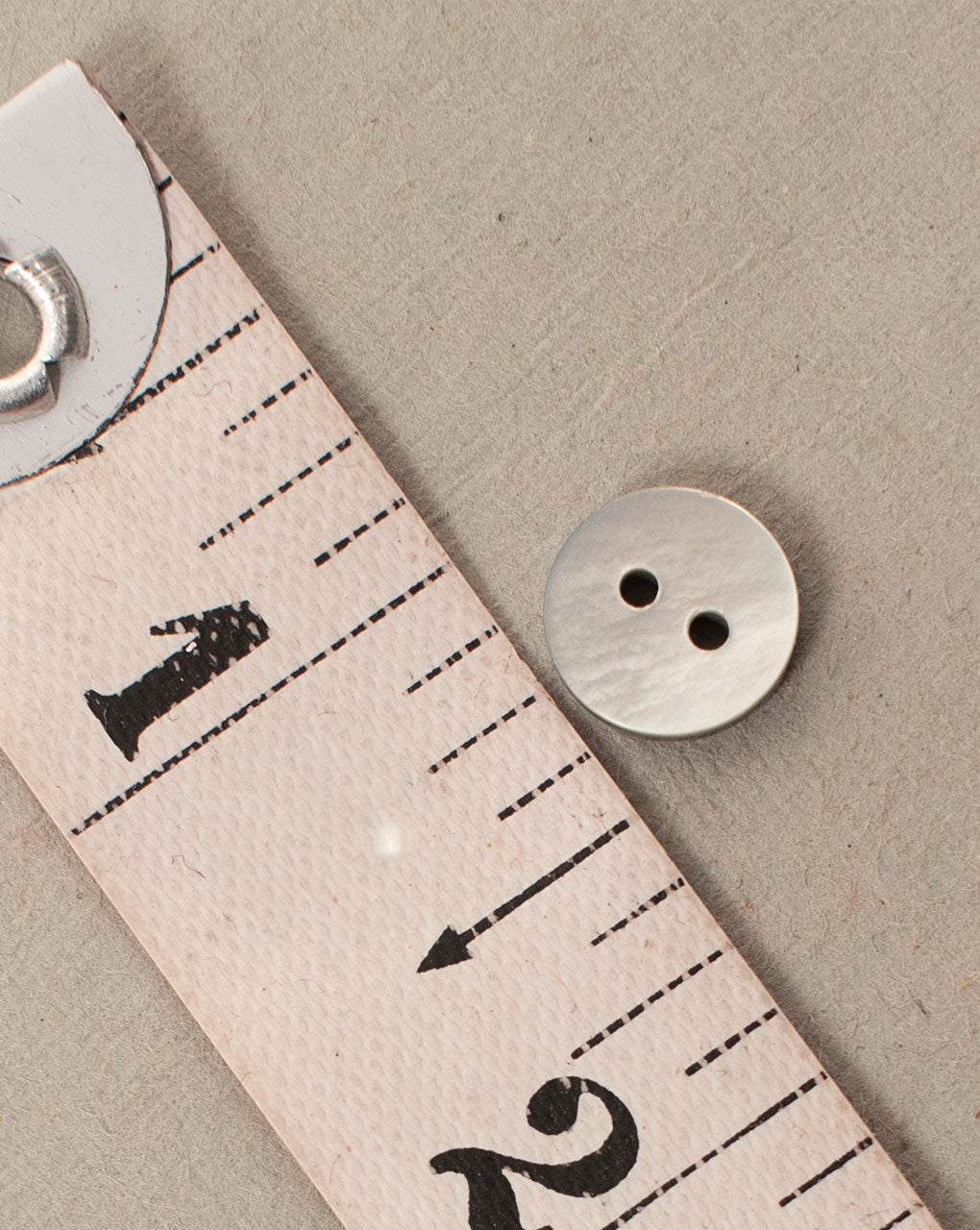 Shell Button ( Set Of 6 ) - Fabriclore.com