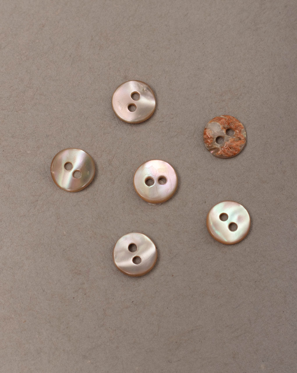 Natural Shell Handmade Buttons ( Set Of 6 ) - Fabriclore.com