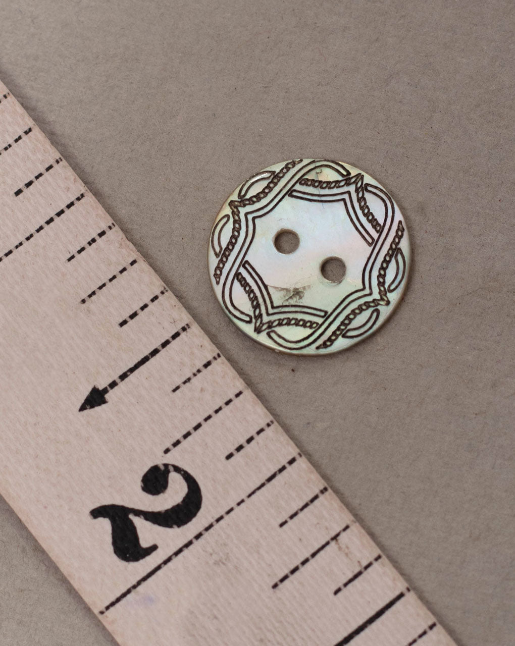 Shell Button ( Set Of 6 ) - Fabriclore.com