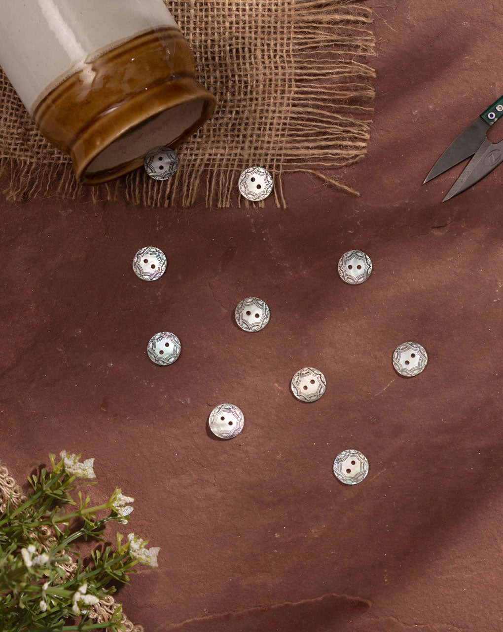 Shell Button ( Set Of 6 ) - Fabriclore.com