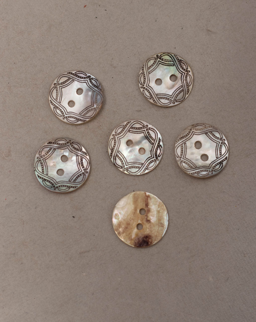 Shell Button ( Set Of 6 ) - Fabriclore.com