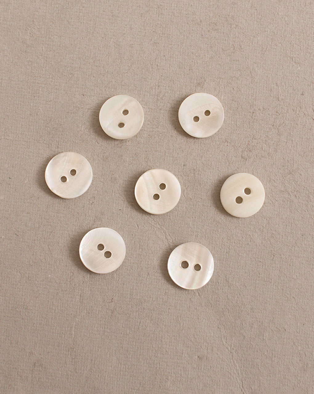 Shell Button ( Set Of 6 ) - Fabriclore.com