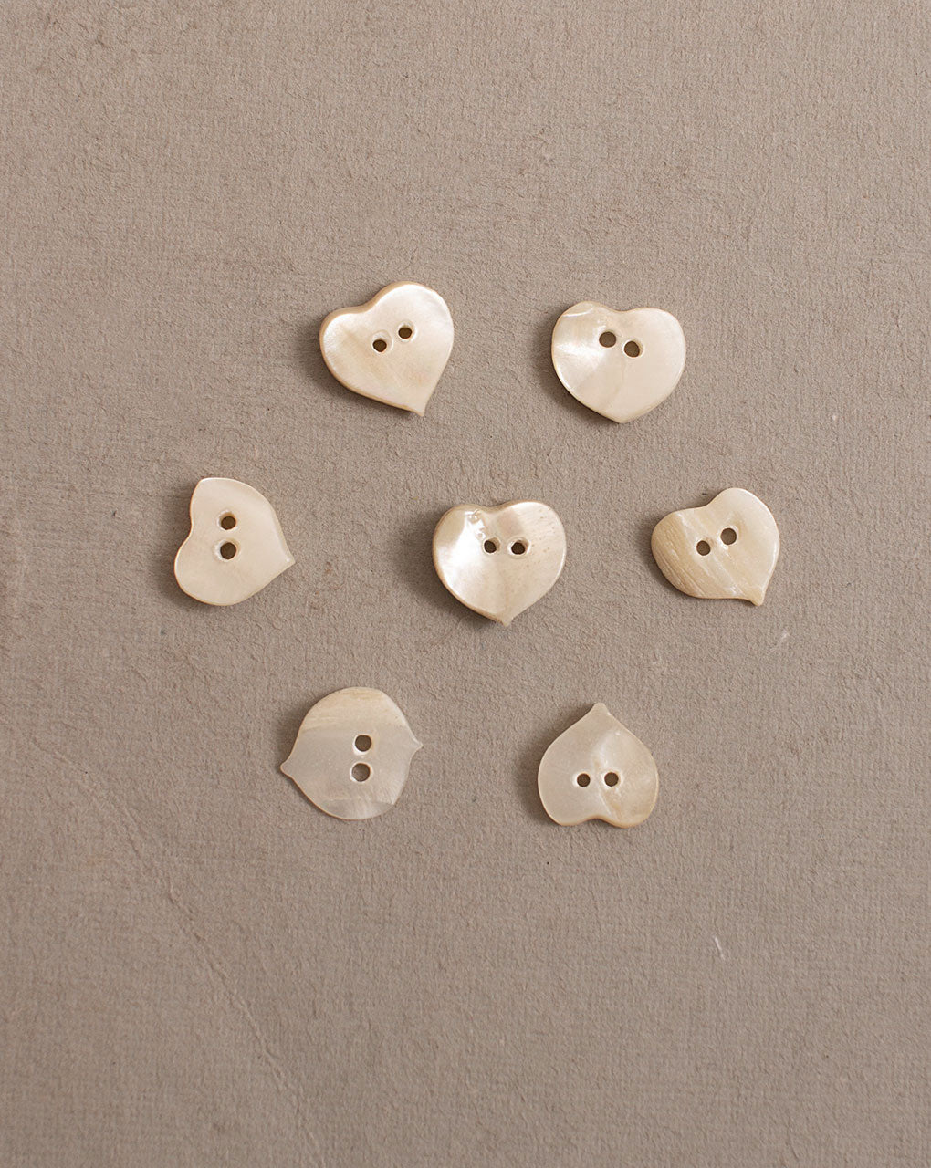 Heart Shell Button ( Set Of 6 ) - Fabriclore.com