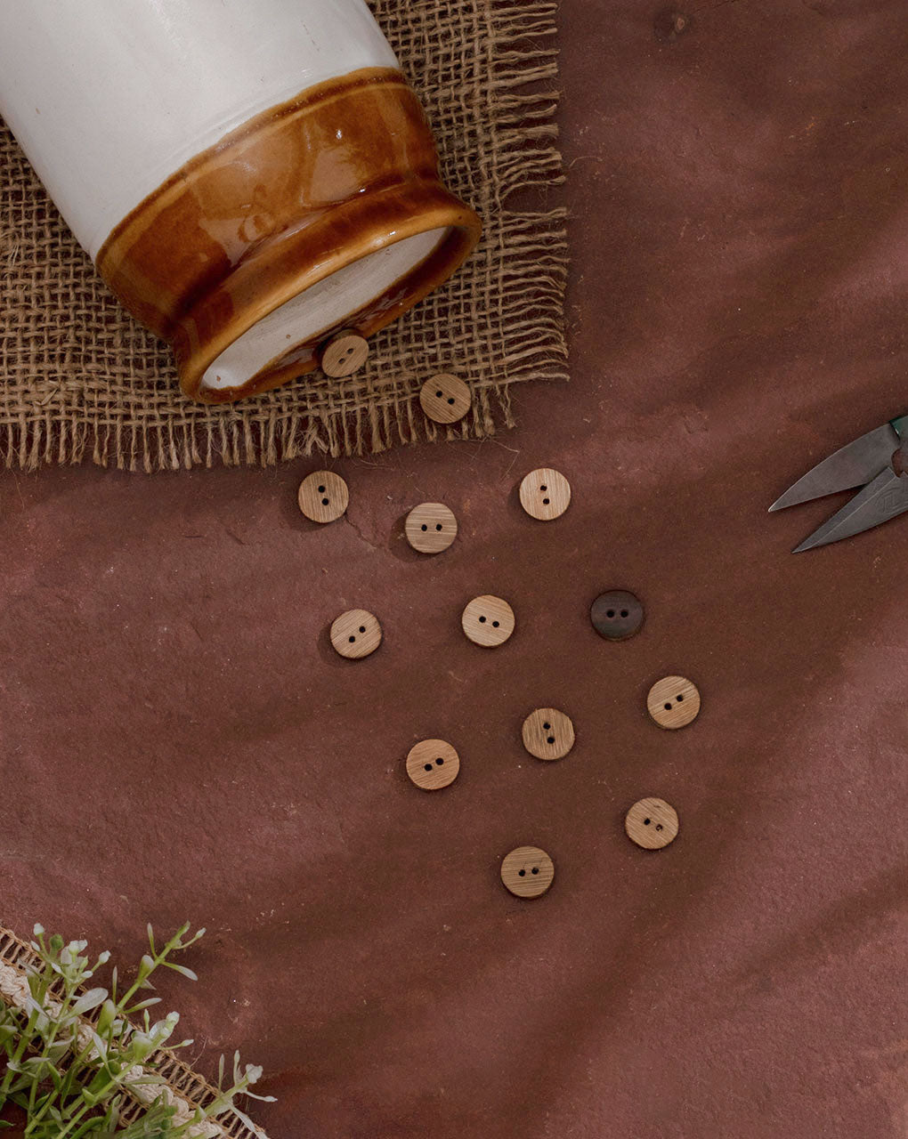 Coconut Button ( Set Of 6 ) - Fabriclore.com