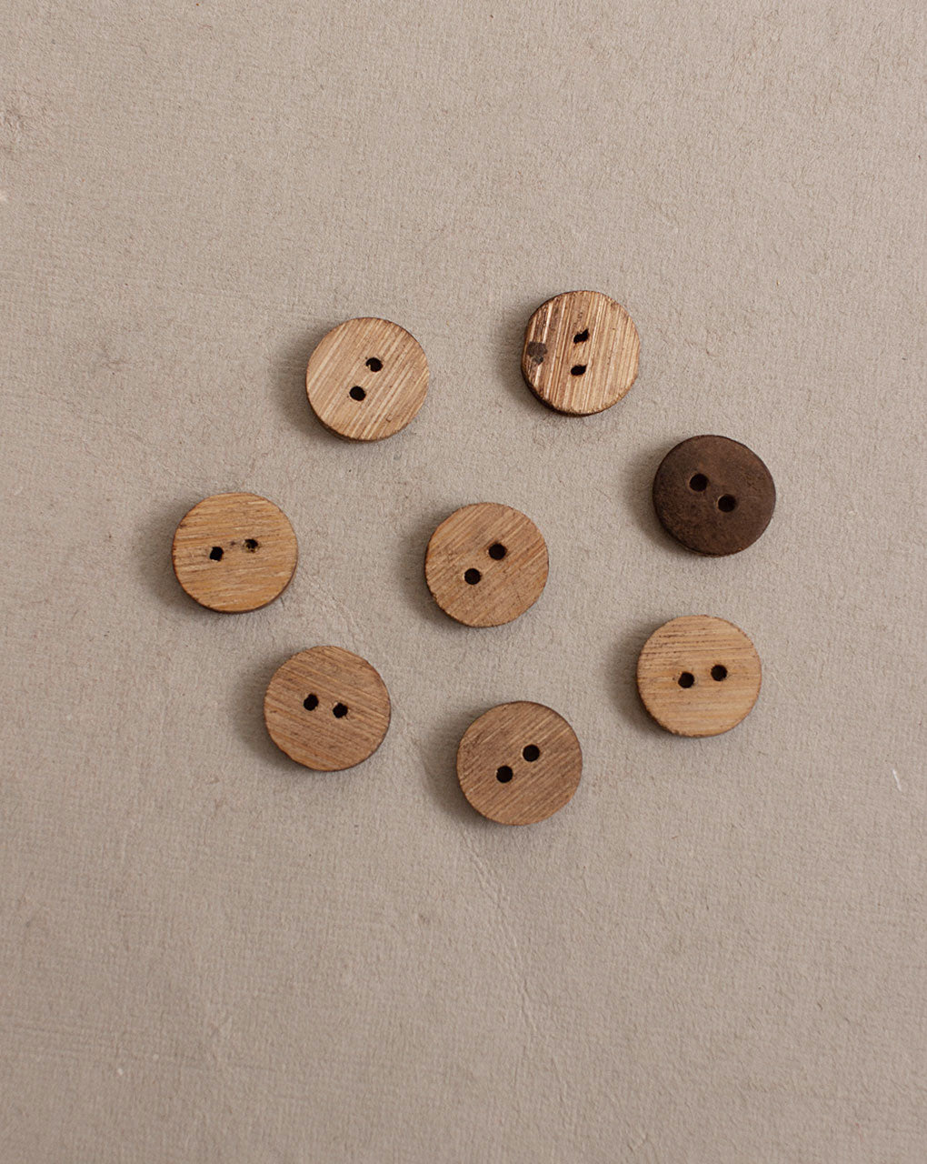 Coconut Button ( Set Of 6 ) - Fabriclore.com