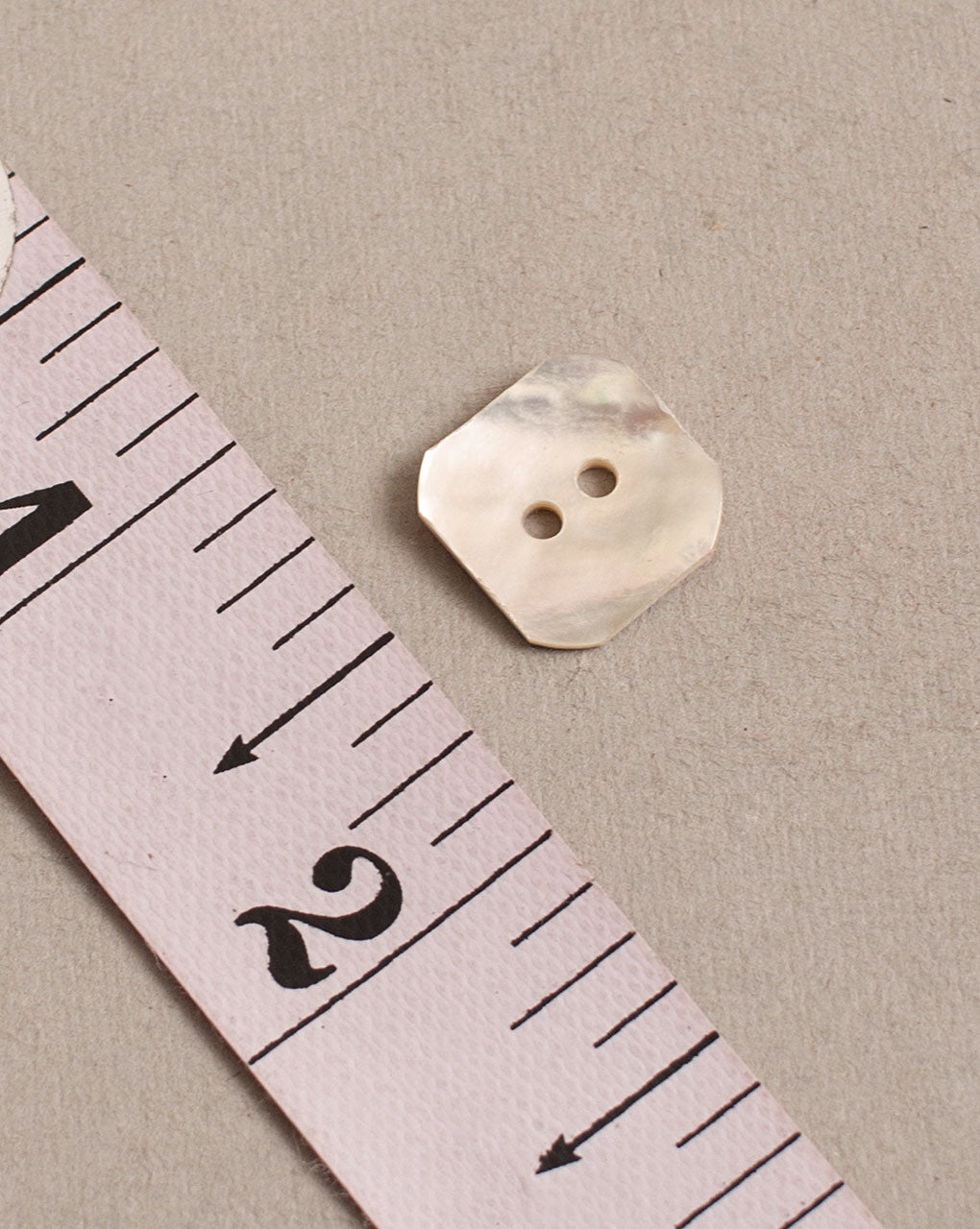 Shell Button ( Set Of 6 ) - Fabriclore.com