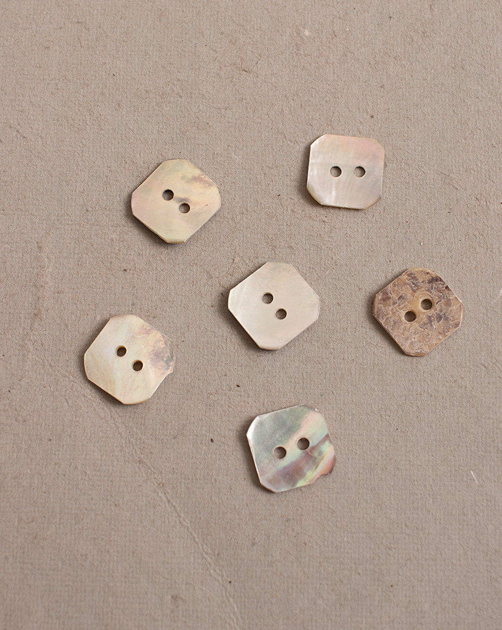 Shell Button ( Set Of 6 ) - Fabriclore.com