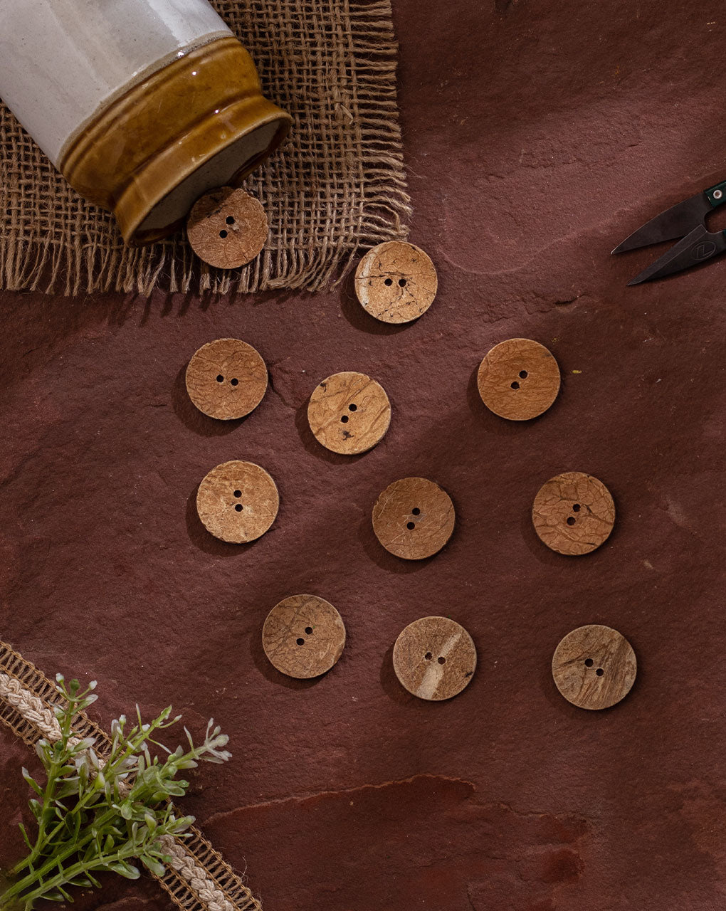 Round Coconut Button ( Set Of 5 )