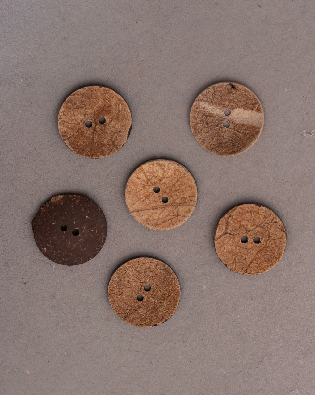 Round Coconut Button ( Set Of 5 )