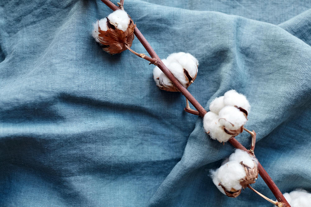 Cotton Fabrics In Serbia