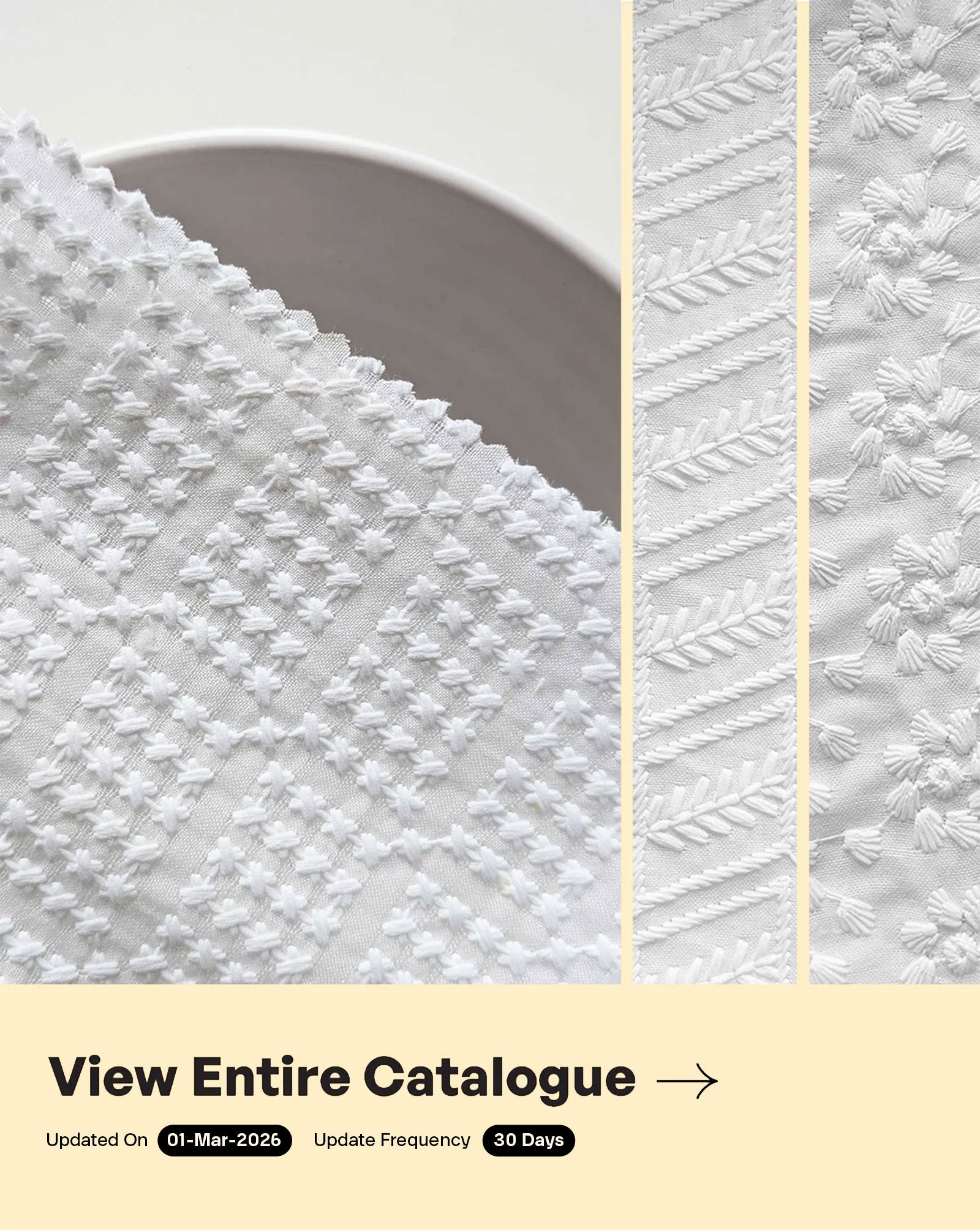 Blended Cotton Schiffli Embroidery Fabric (Bleached)