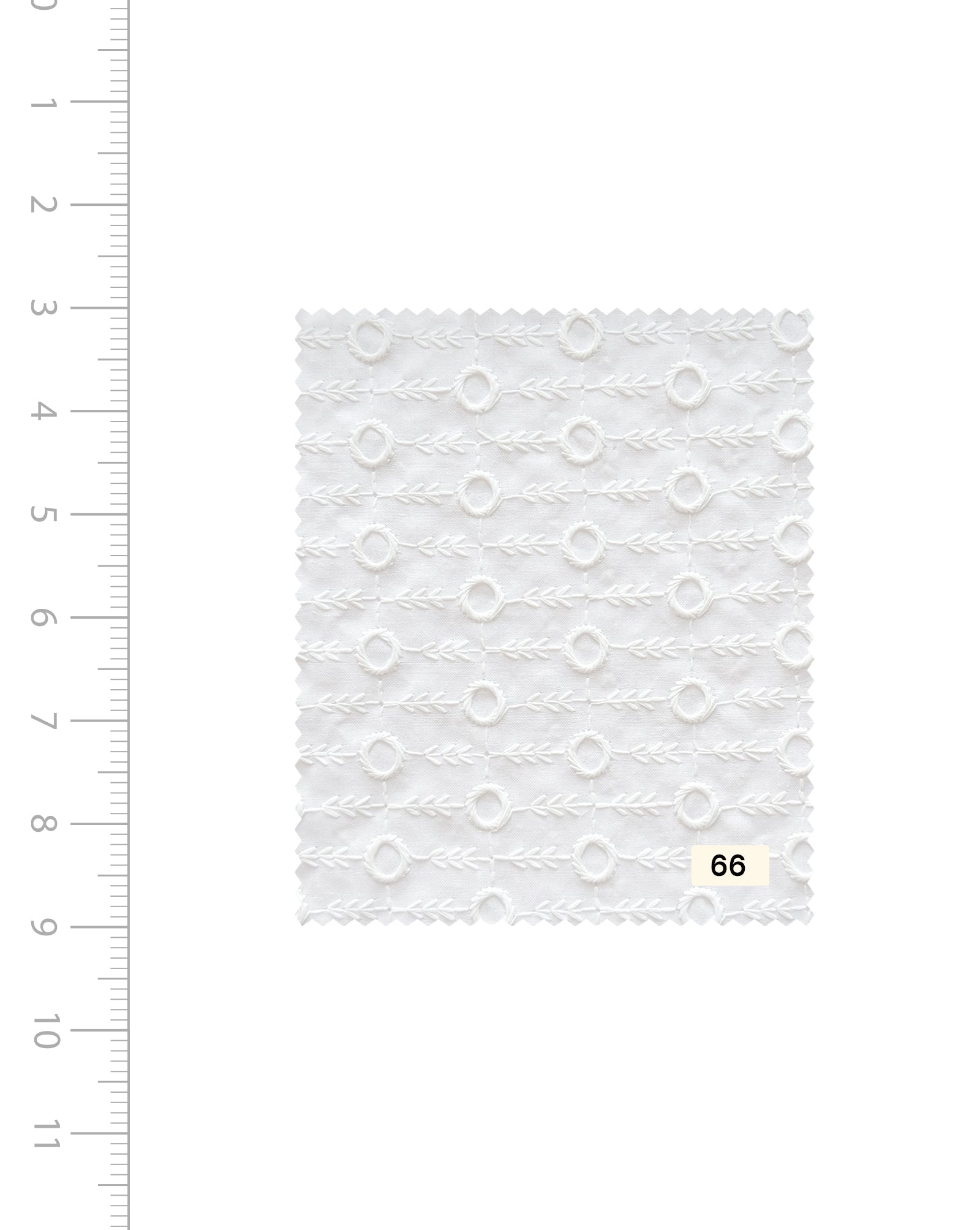 Blended Cotton Schiffli Embroidery Fabric (Bleached)