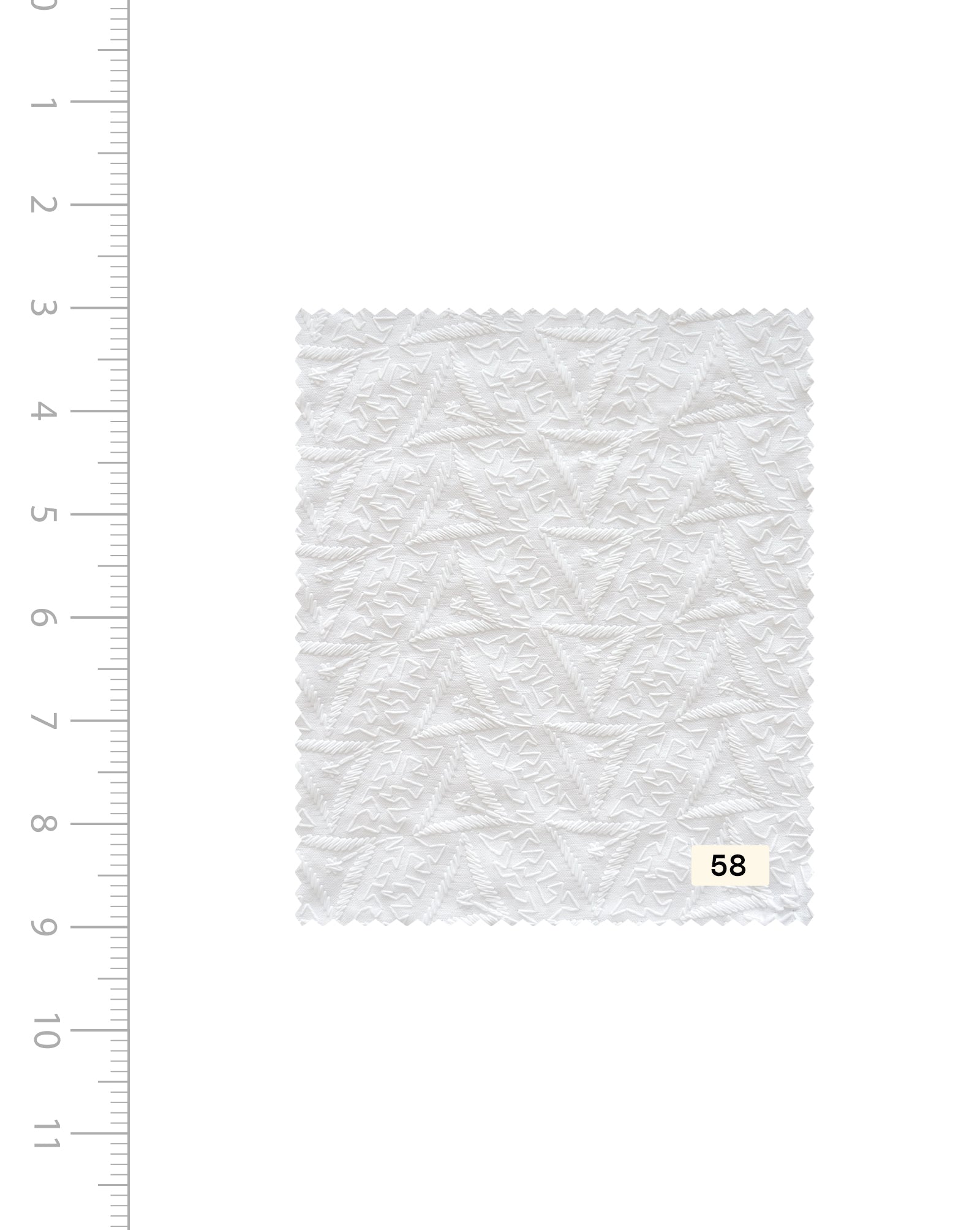 Blended Cotton Schiffli Embroidery Fabric (Bleached)