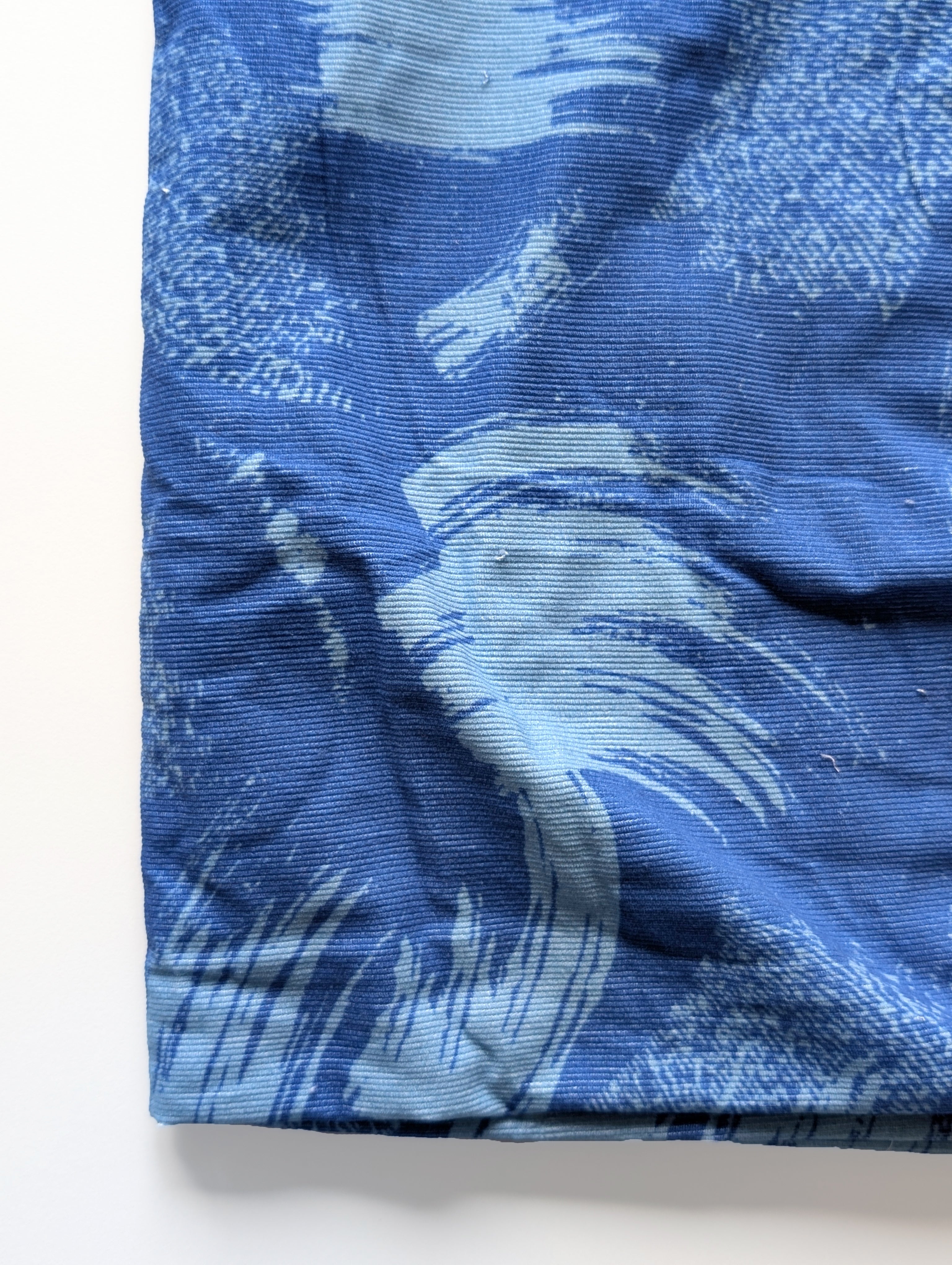 Digital Print Cotton Corduroy Fabric ( 19 Wales)
