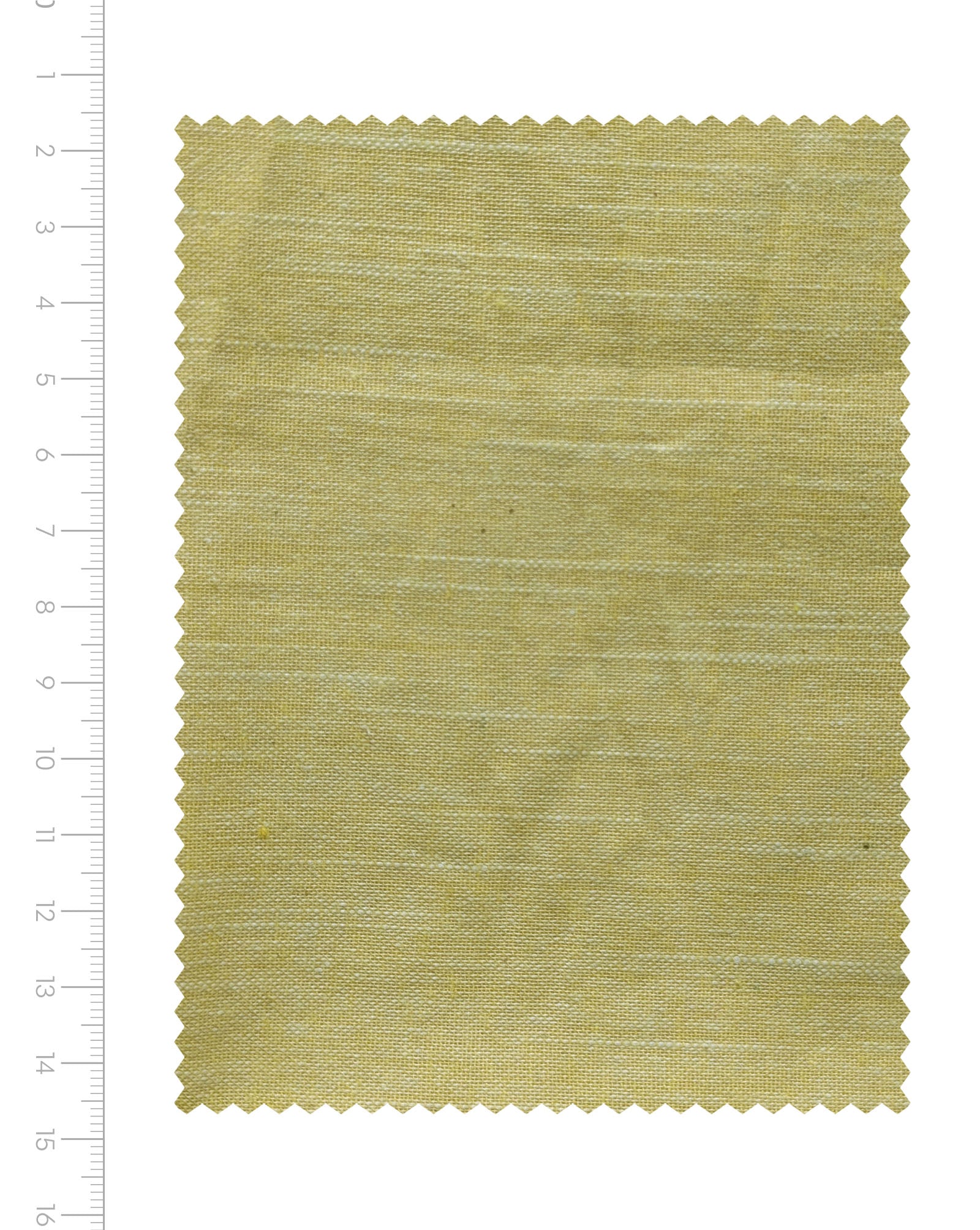 Yellow Chambray Slub Blended Cotton Yarn Dyed Fabric 46"