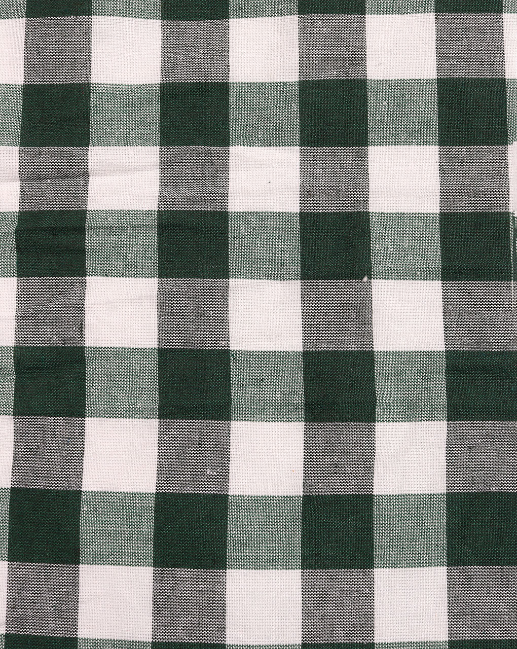 Green Checks Cotton Fabric