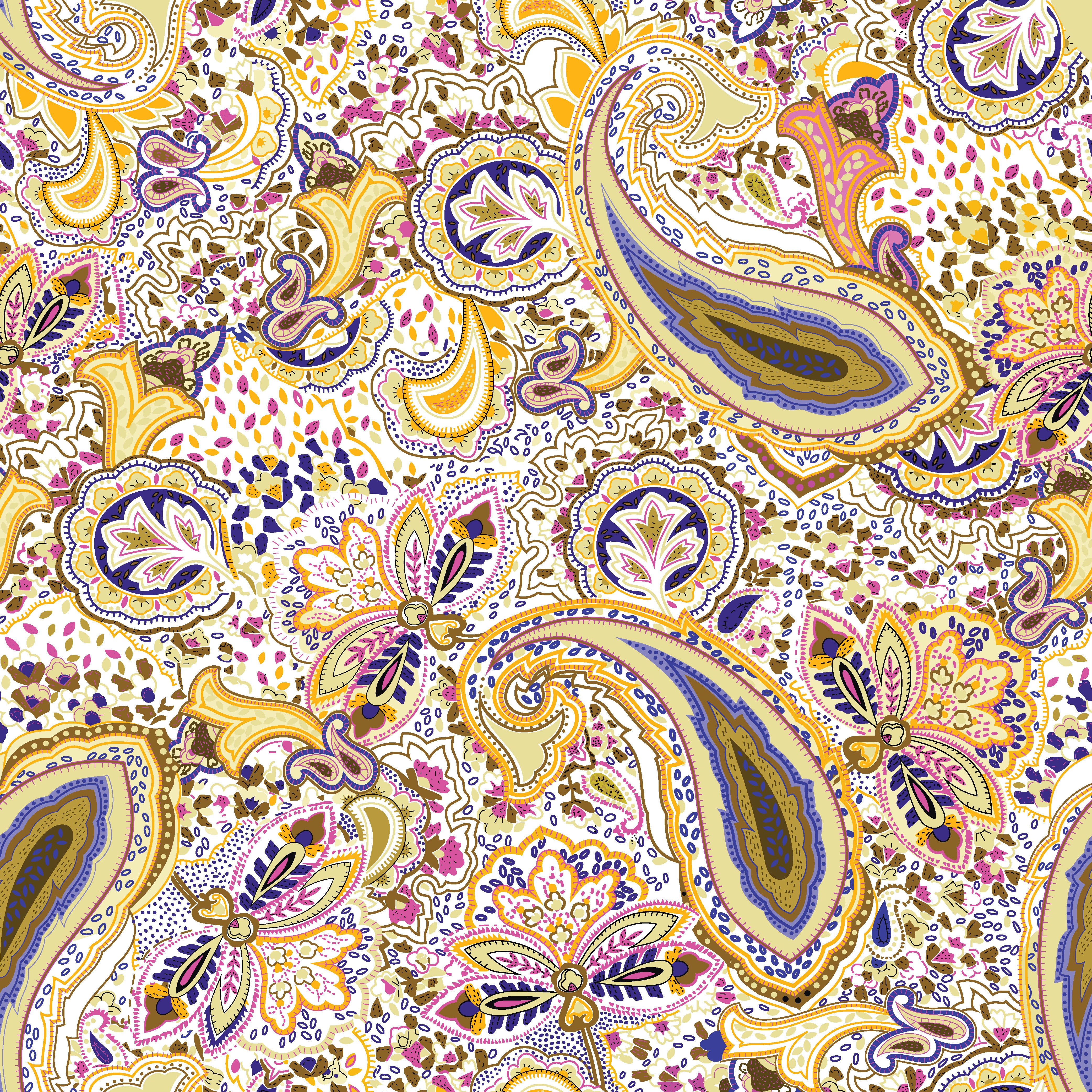 Paisley Digital Print