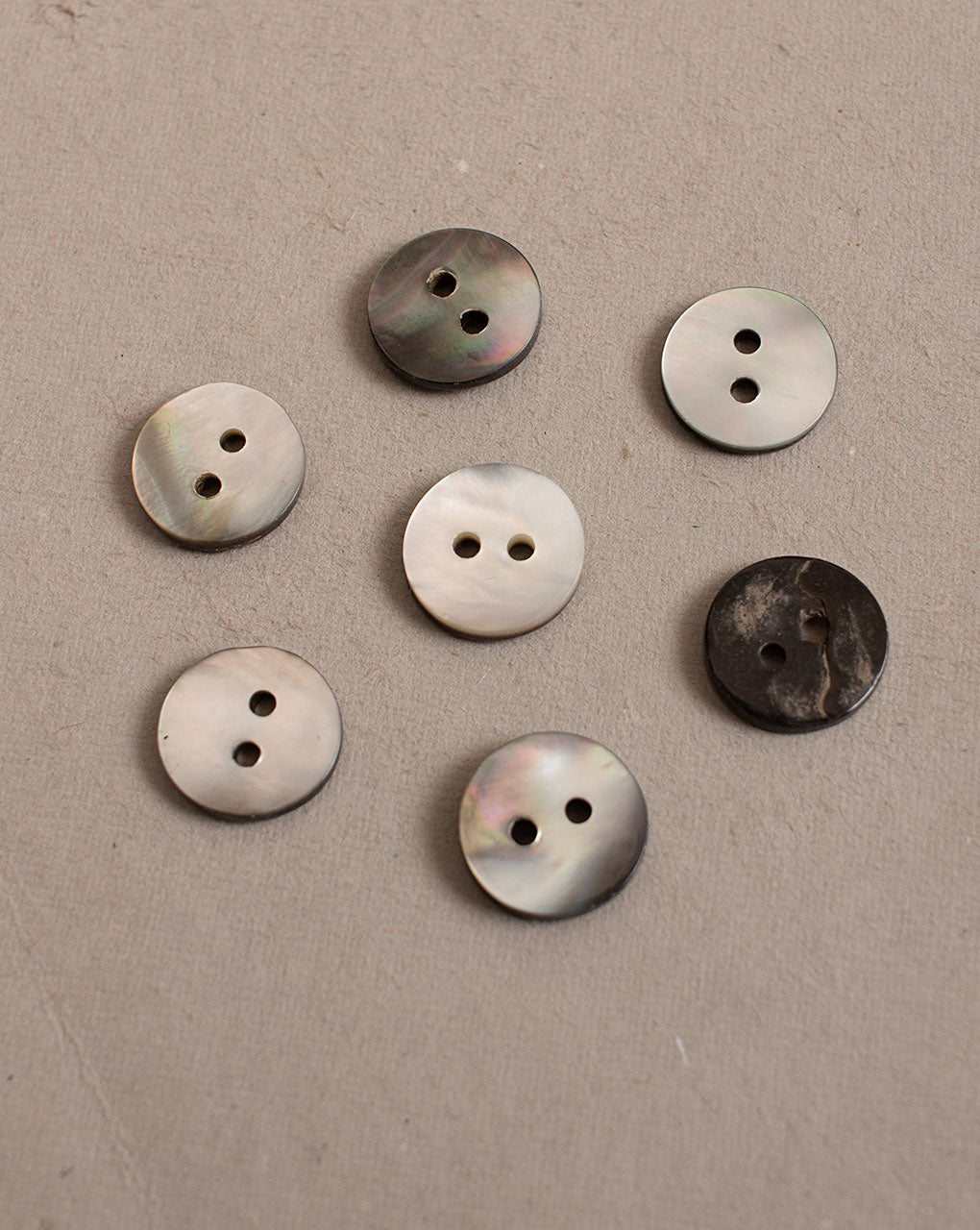 Shell Button ( Set Of 6 ) - Fabriclore.com